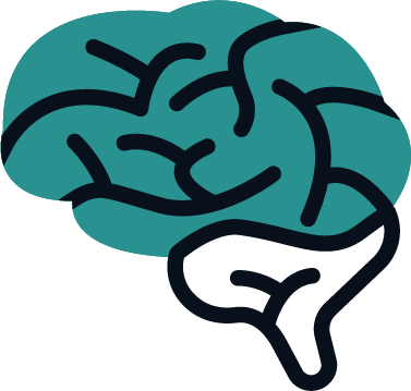 Brain
